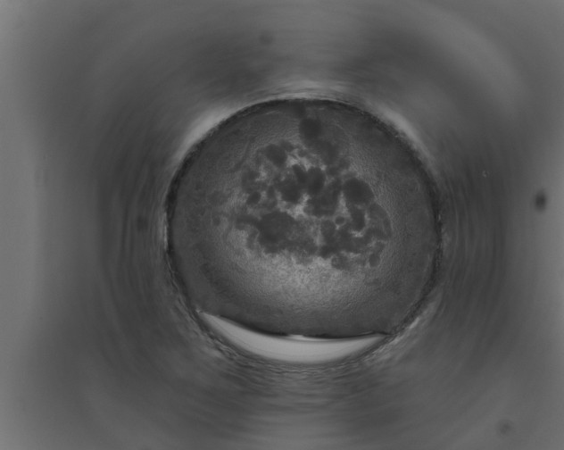 X0000094811267200711241438