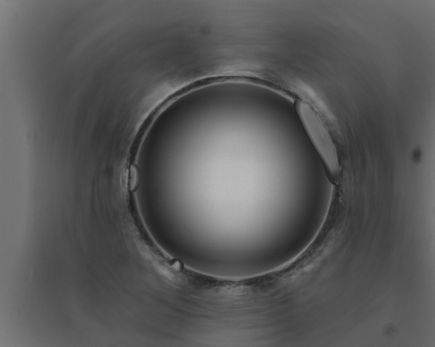 X0000094811268200711241438