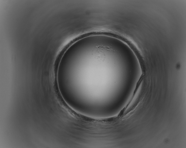 X0000094811270200711241437