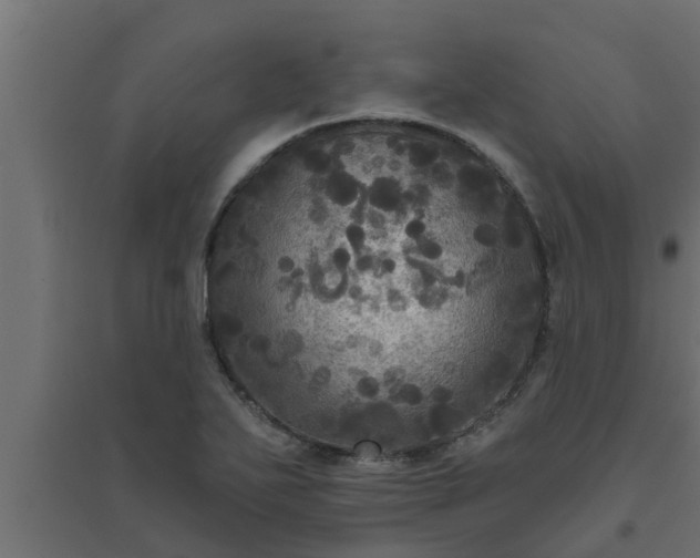 X0000094811271200711241437