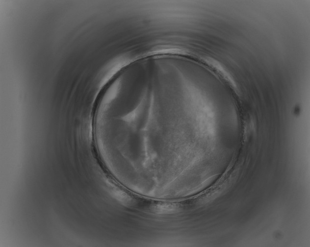 X0000094811274200711241437