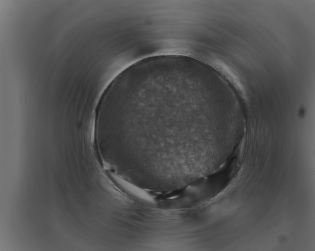 X0000094811276200711241437