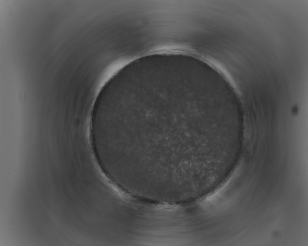 X0000094811277200711241437