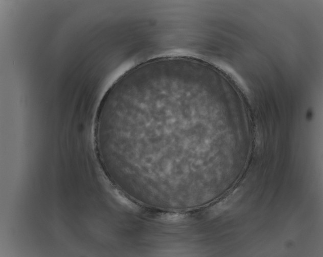 X0000094811278200711241437