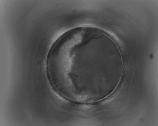 X0000094811279200711241437