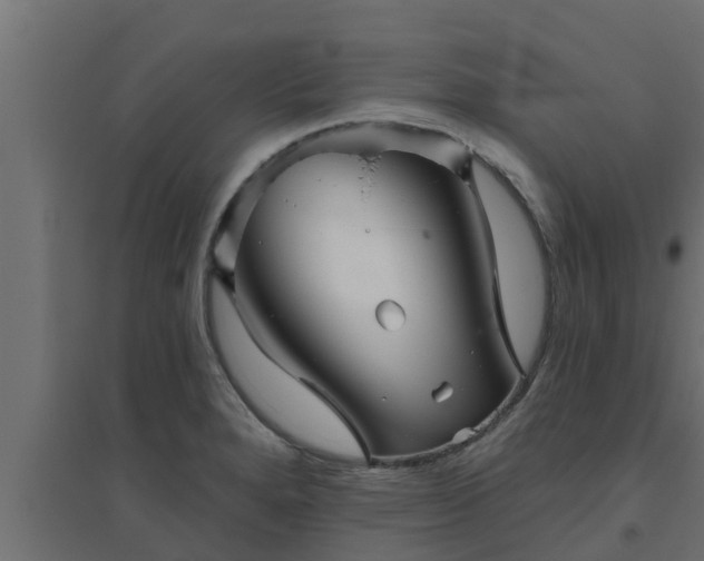 X0000094811280200711241437