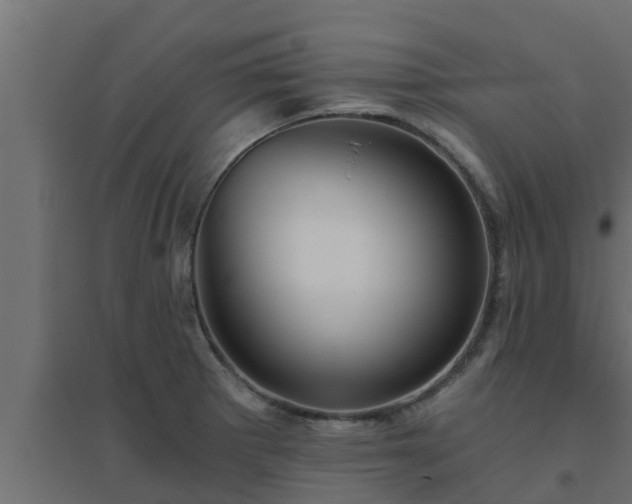 X0000094811281200711241437