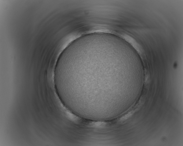 X0000094811282200711241437