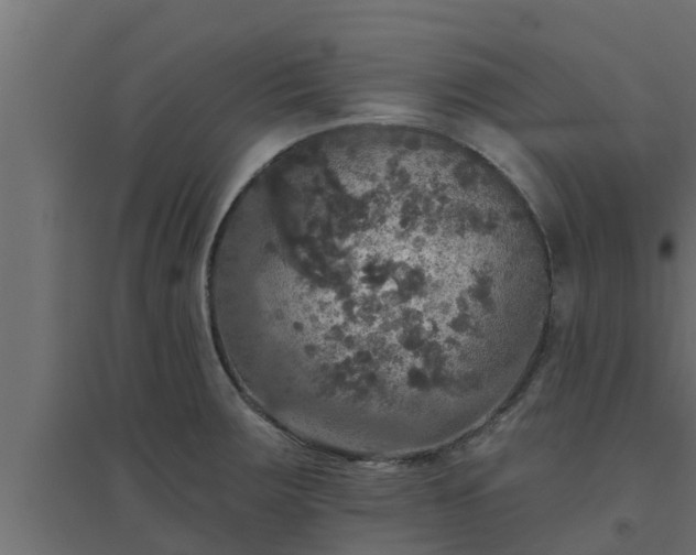 X0000094811283200711241437