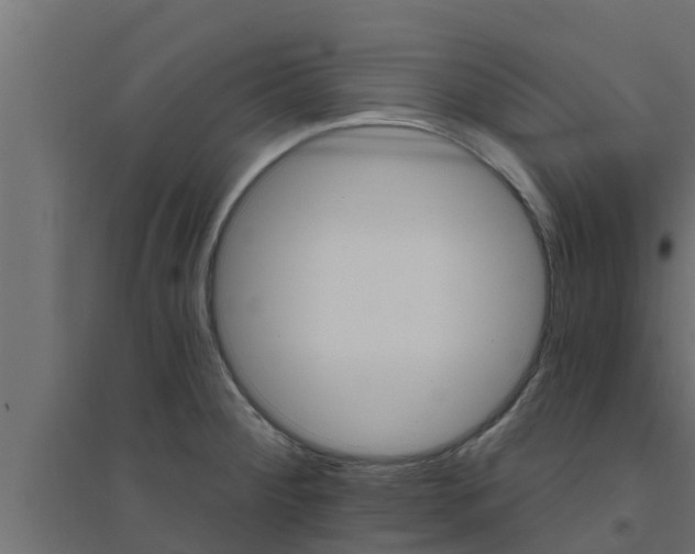 X0000094811284200711241437