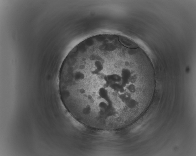 X0000094811287200711241437