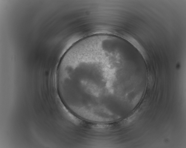 X0000094811290200711241437