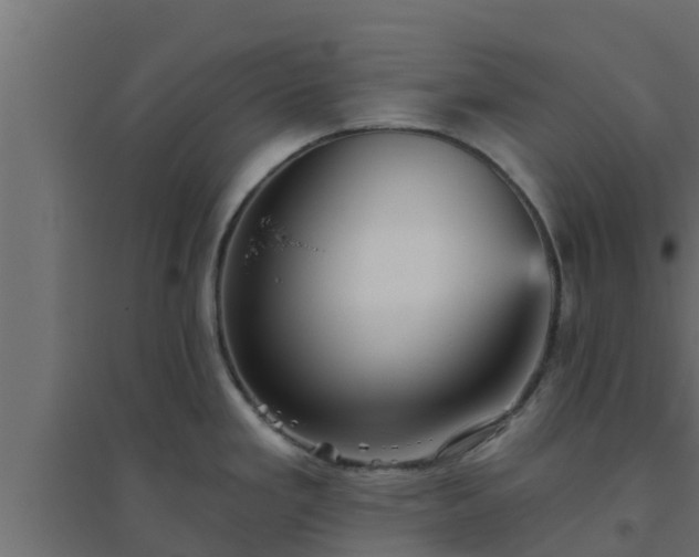 X0000094811293200711241437