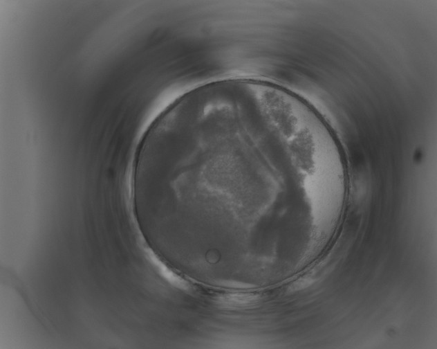 X0000094811294200711241437