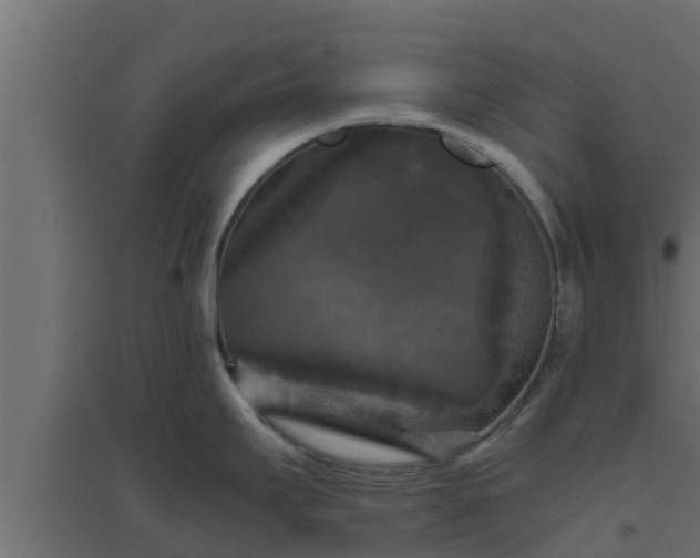 X0000094811295200711241437