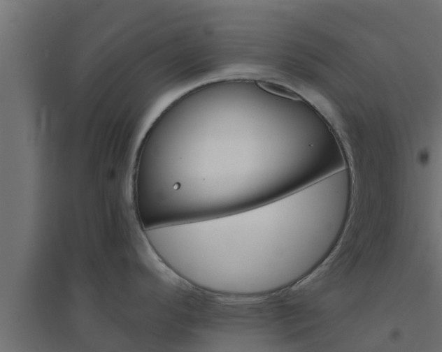 X0000094811296200711241437