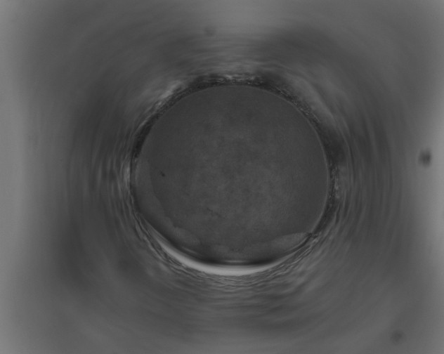 X0000094811298200711241436