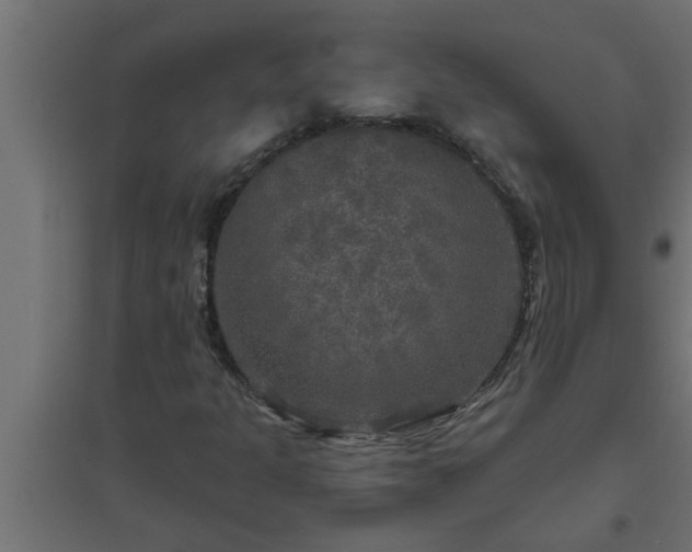 X0000094811301200711241437