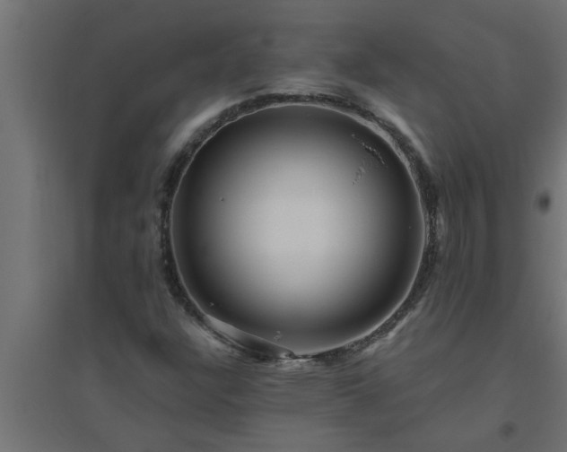 X0000094811304200711241437