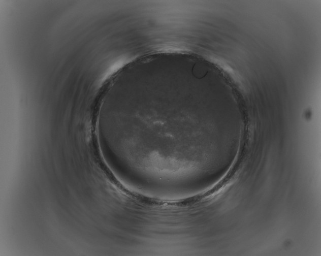 X0000094811306200711241437