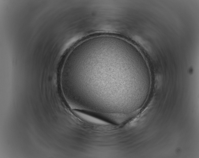 X0000094811307200711241437