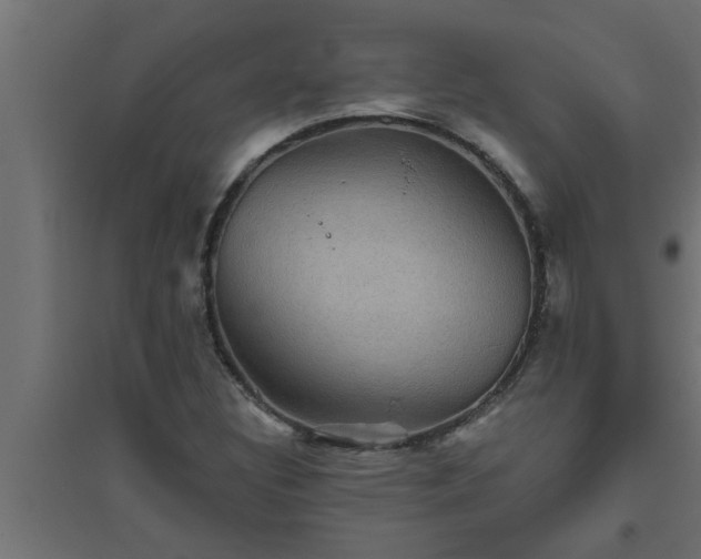 X0000094811308200711241437