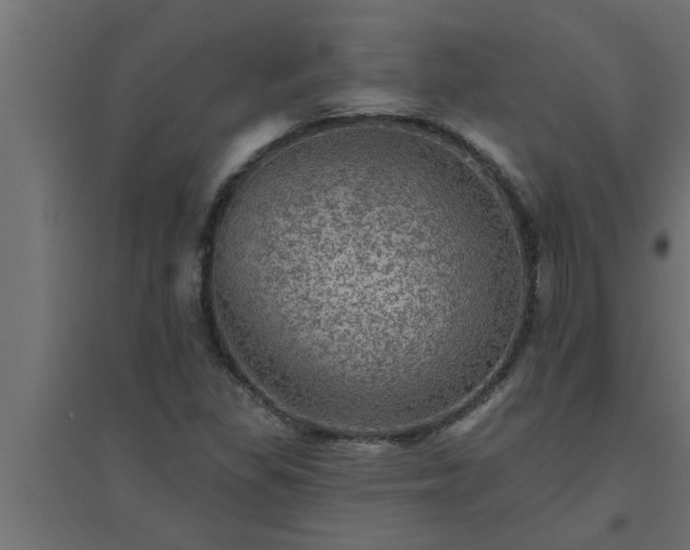 X0000094811309200711241437