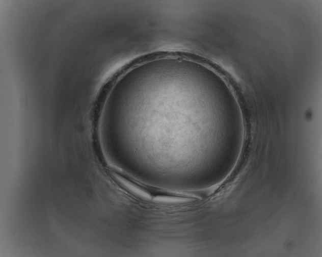 X0000094811311200711241437