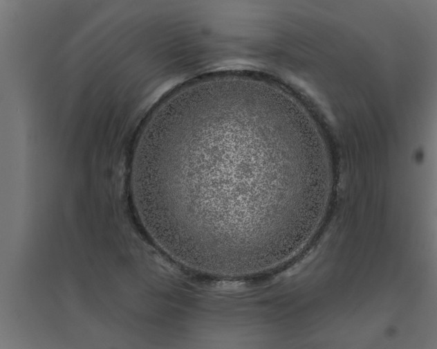 X0000094811313200711241437