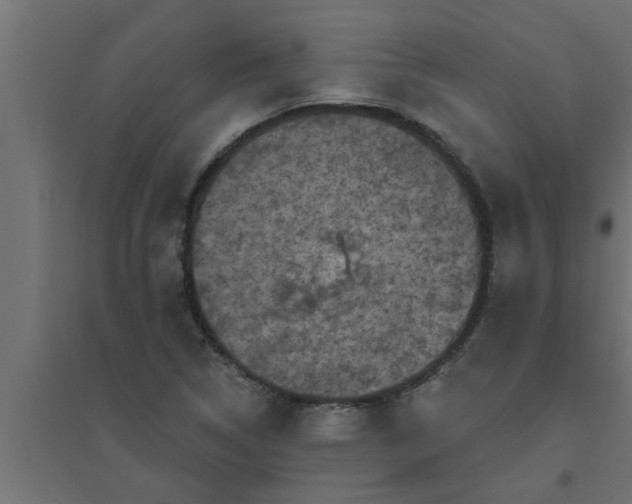 X0000094811314200711241437