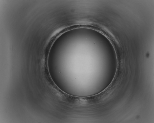 X0000094811315200711241437