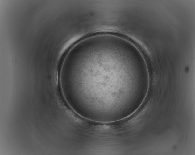 X0000094811317200711241437