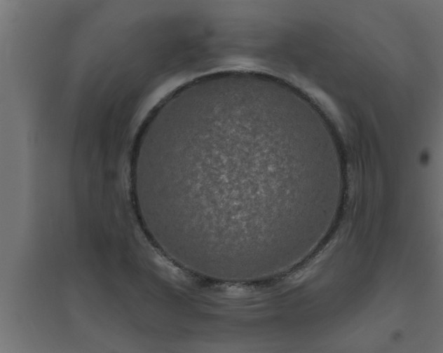 X0000094811318200711241437