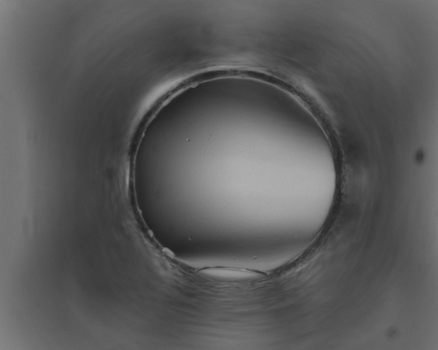 X0000094811320200711241437