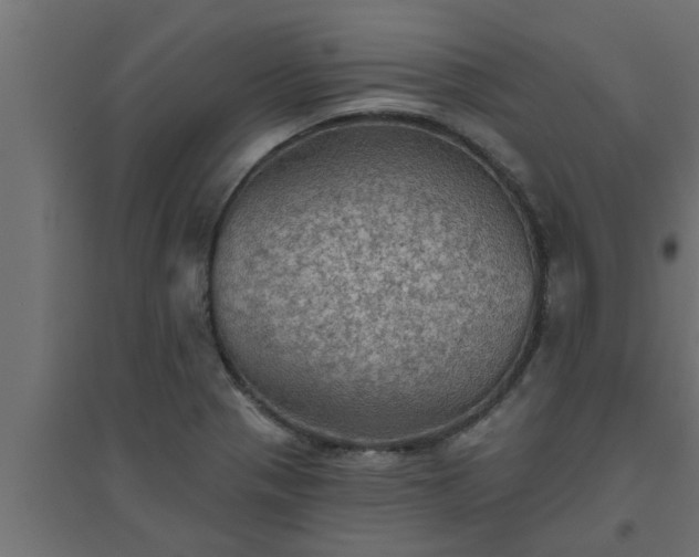 X0000094811321200711241437