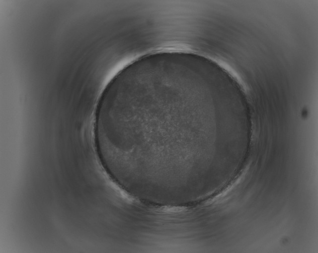 X0000094811325200711241437