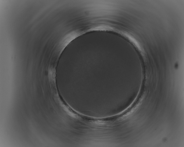 X0000094811329200711241437