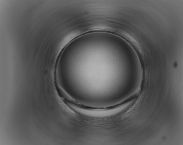 X0000094811330200711241437