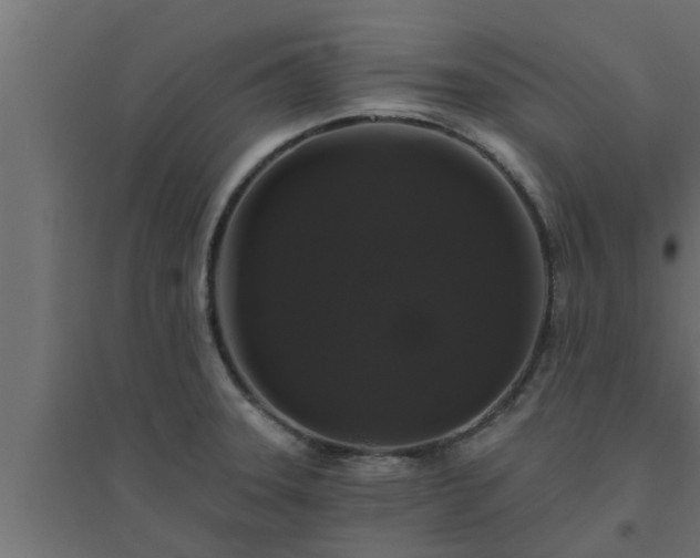 X0000094811331200711241437