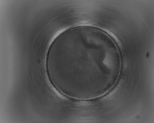 X0000094811333200711241437