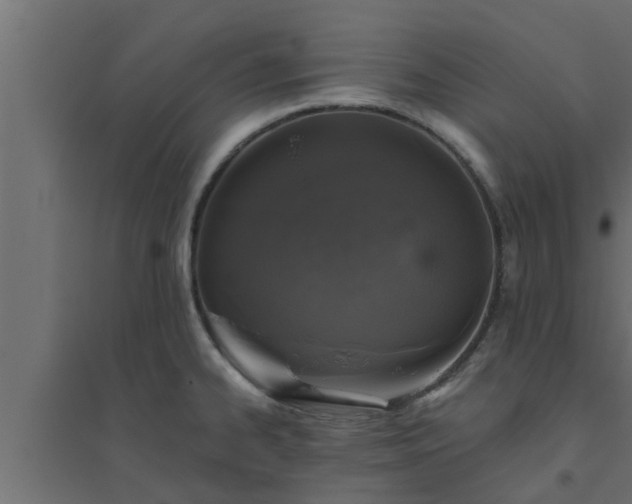 X0000094811334200711241437