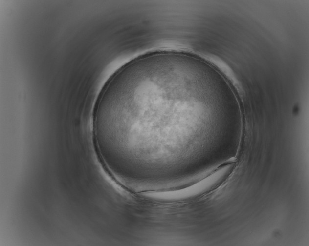 X0000094811335200711241437