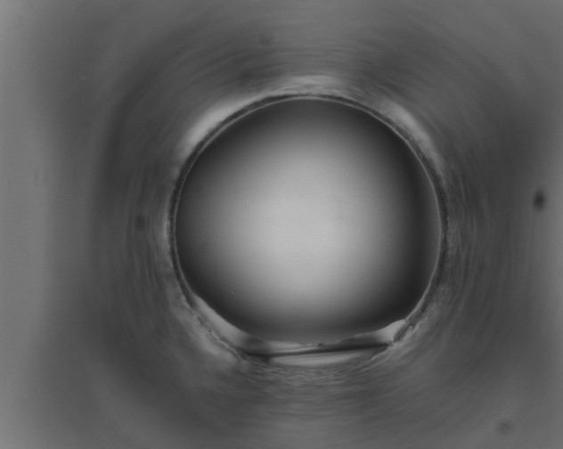 X0000094811336200711241437