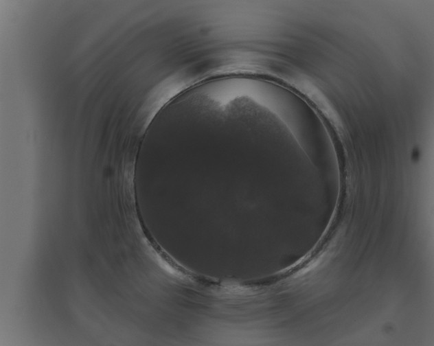 X0000094811337200711241437