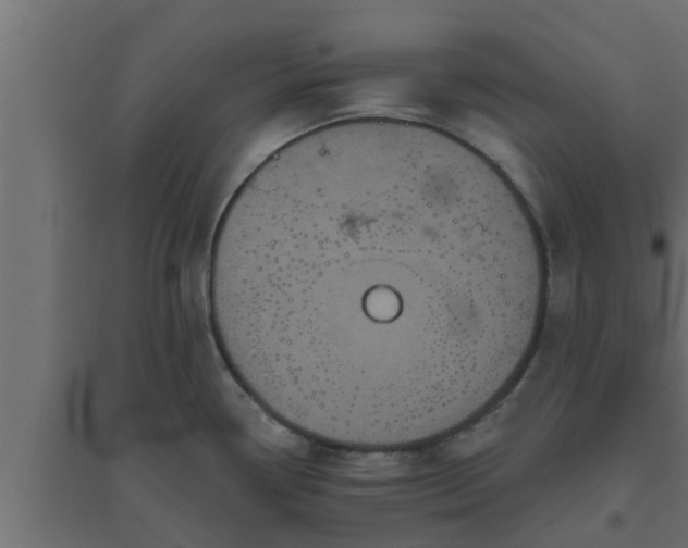 X0000094811338200711241437