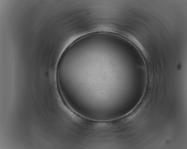 X0000094811339200711241437