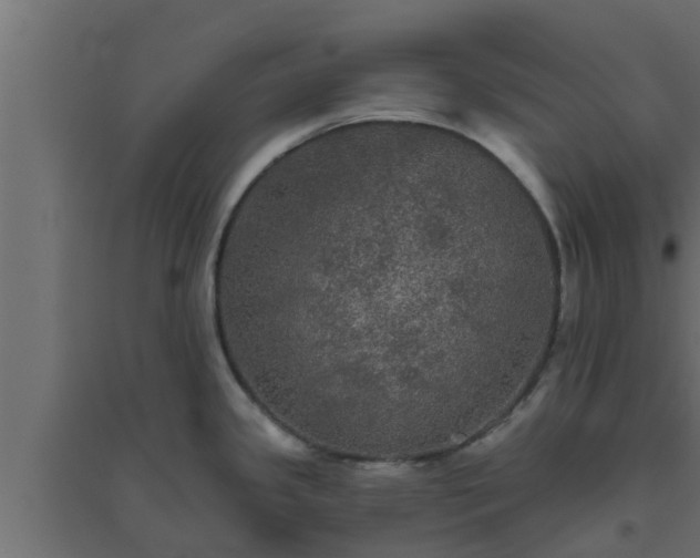 X0000094811341200711241437