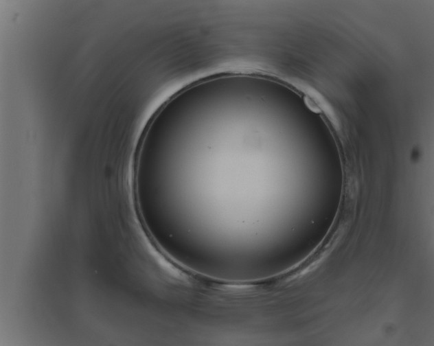 X0000094811343200711241437