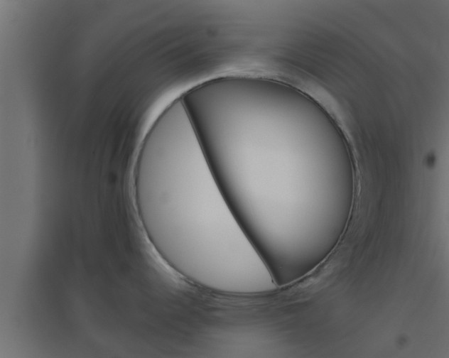 X0000094811344200711241437