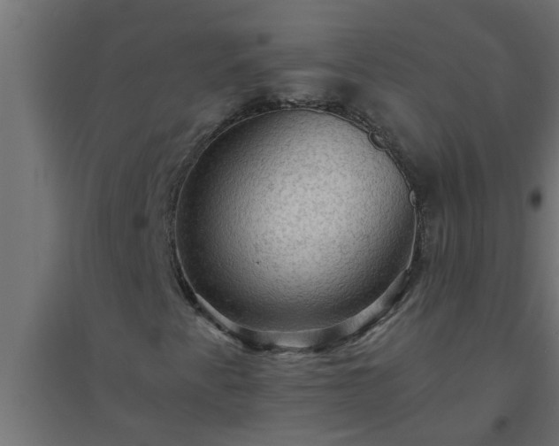 X0000094811345200711241436